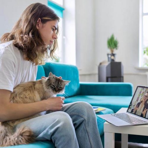 teen-virtual-mental-health Teen boy sitting at home on the couch while holding his cat during an online therapy session