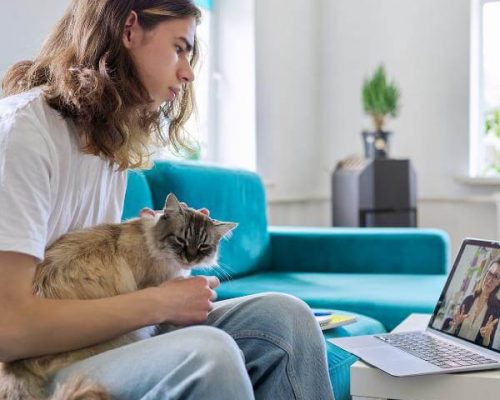 Teen boy sitting at home on the couch while holding his cat during an online therapy session